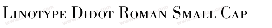 Linotype Didot Roman Small Caps & Oldstyle Figures字体转换